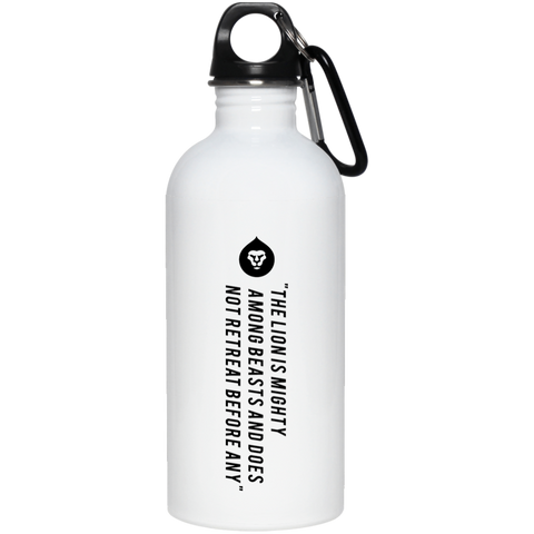20 oz. Stainless Steel Water Bottle